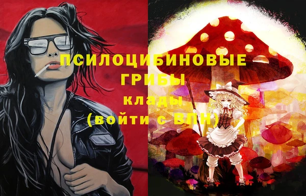 винт Козловка