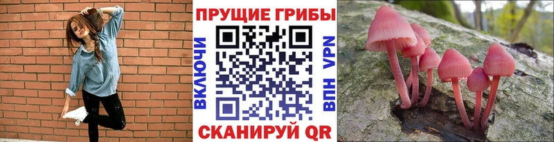 Псилоцибиновые грибы Magic Shrooms  Купить  Чекалин 